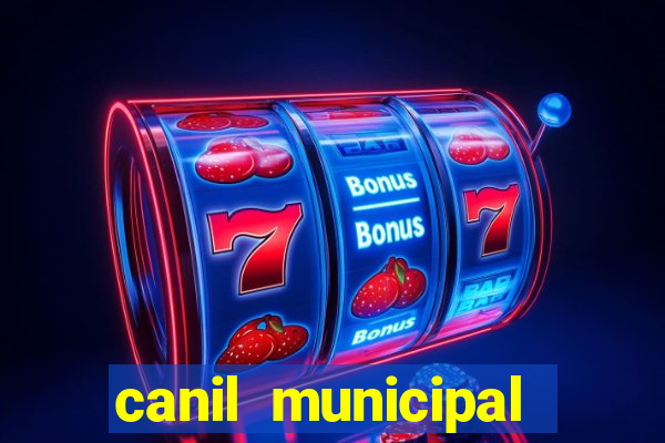 canil municipal porto alegre